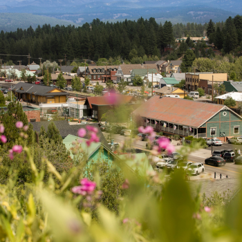 Looking down at downtown Truckee from a hill with pink flowers in the forefront. 