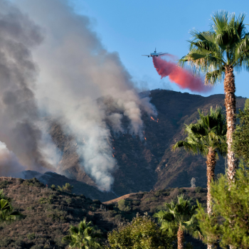 Images of the LA Wildfire with hills and palm trees and a plane releasing fire retardant. . 