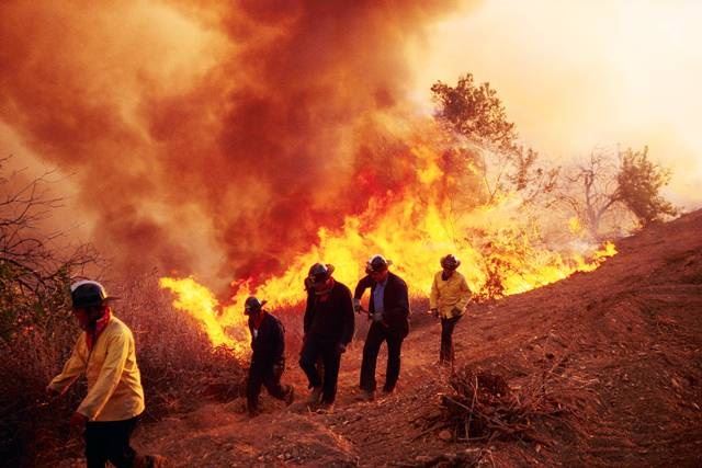 Firefighters on the Scene (JPG)