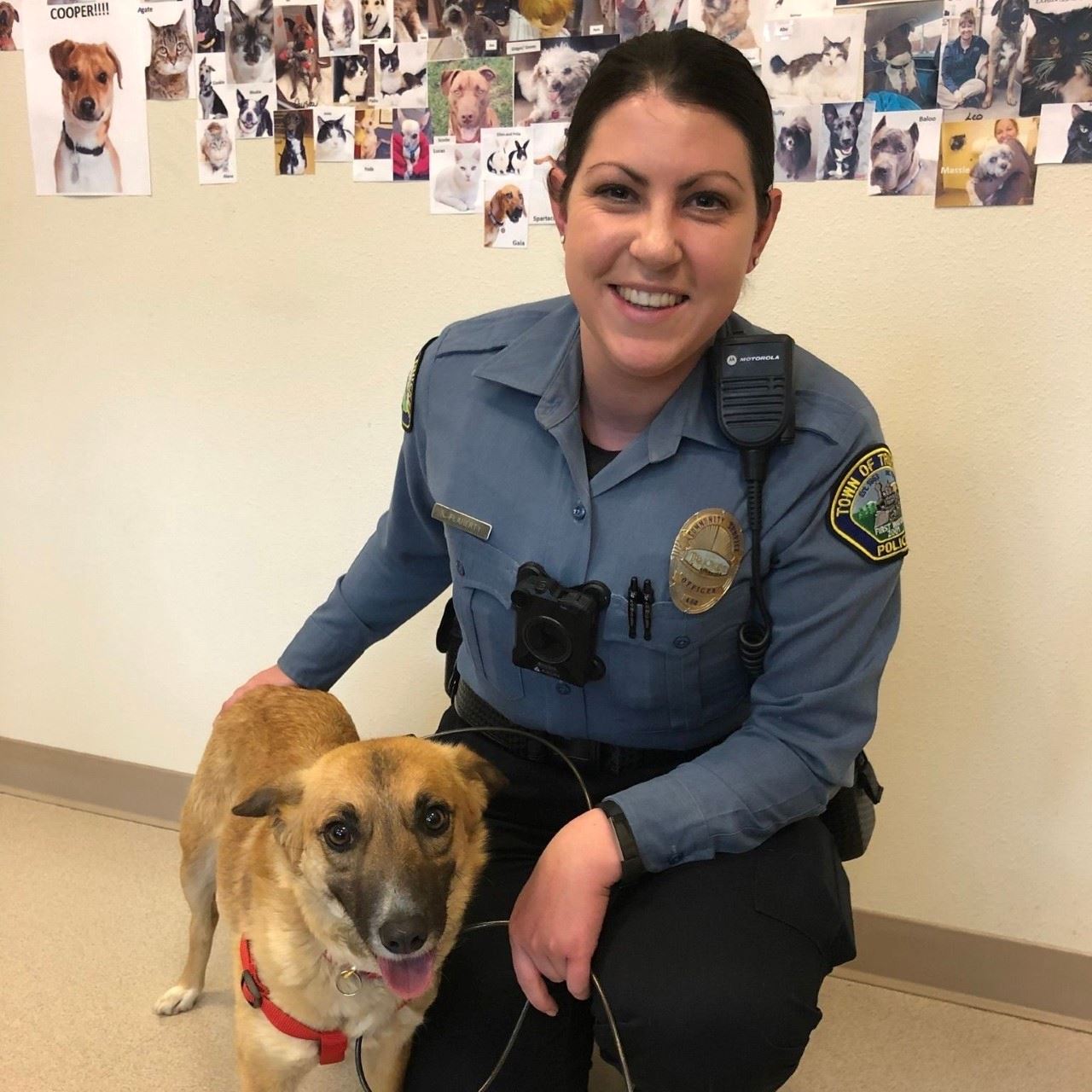 Community Services Officer kneeling with medium size brown dog. 