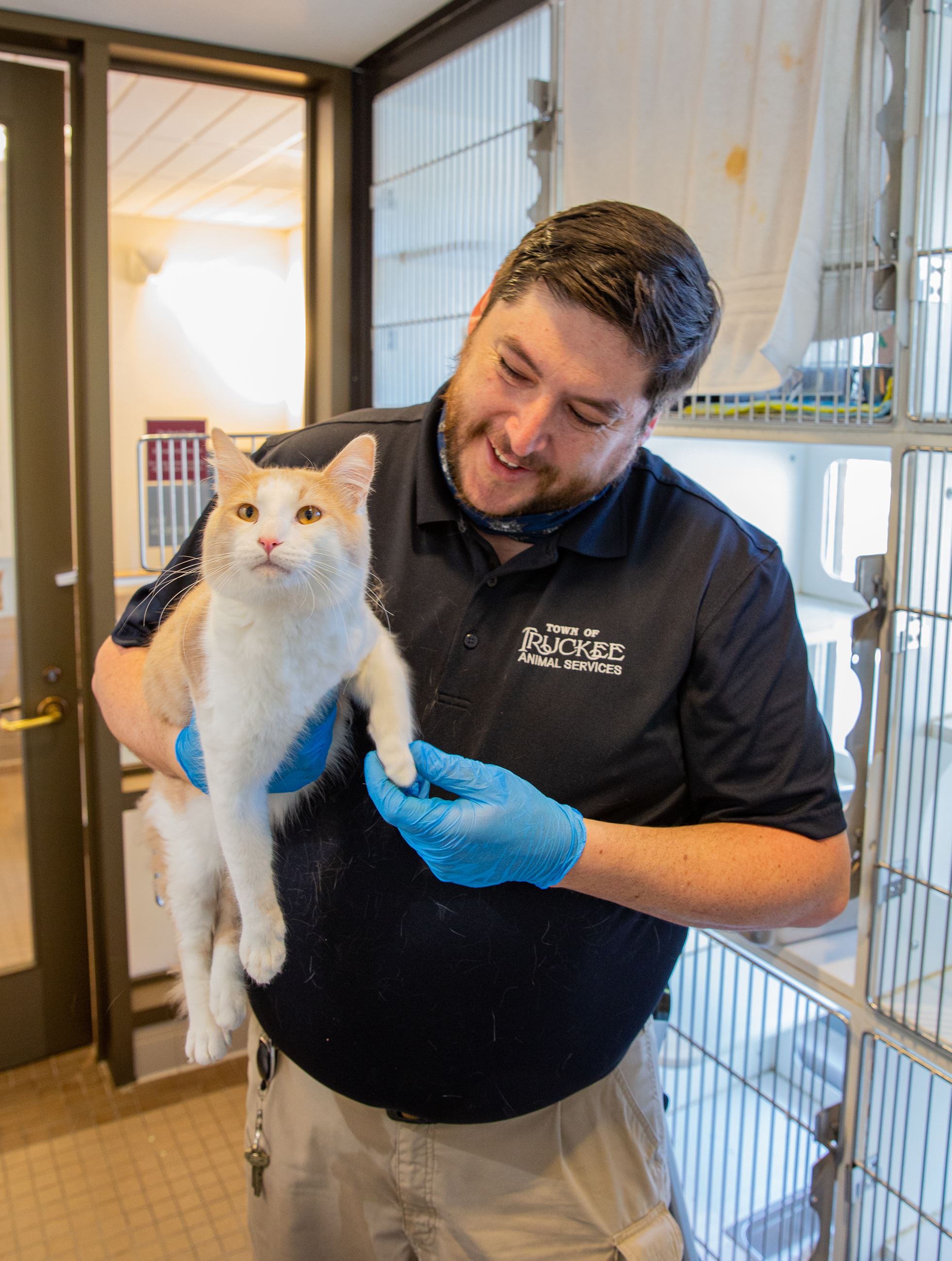 Man holding a cat with gloves on. 