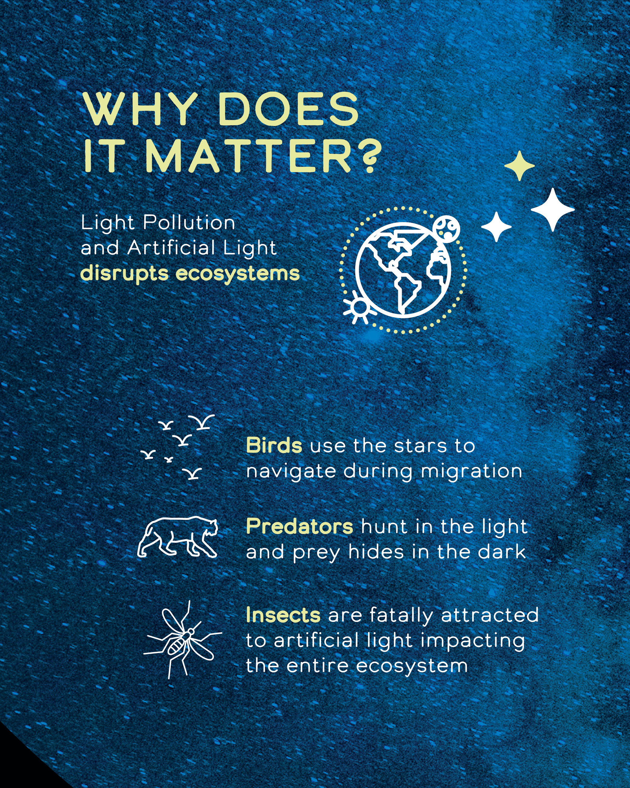 Light pollution disrupts ecosystems that birds, predators and insects rely on. 